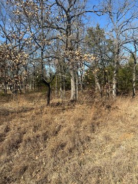 Land For Sale in Mabank