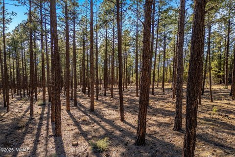 Lakeside, AZ Land For Sale