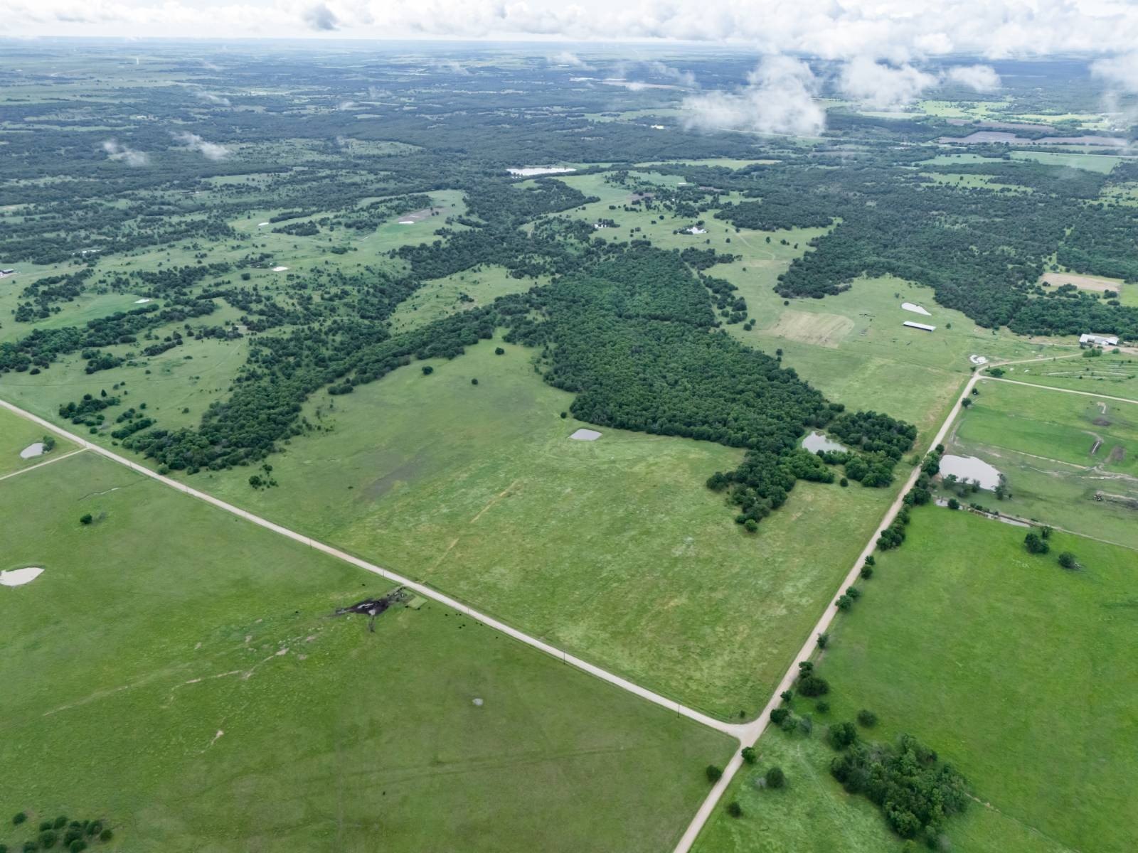 Spacious Land with Barn and Wildlife