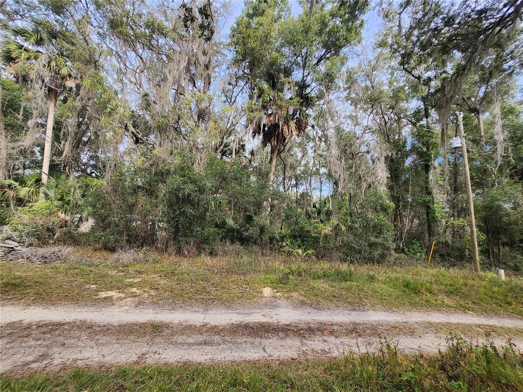 Picture 3