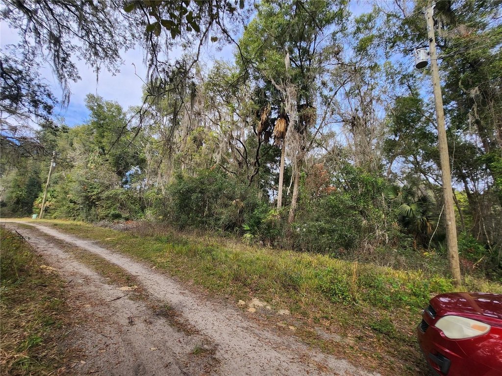 Picture 2
