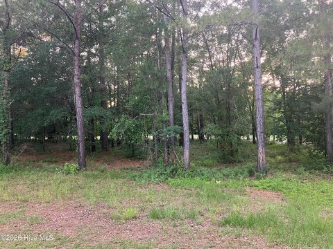 LAND - Wallace, NC