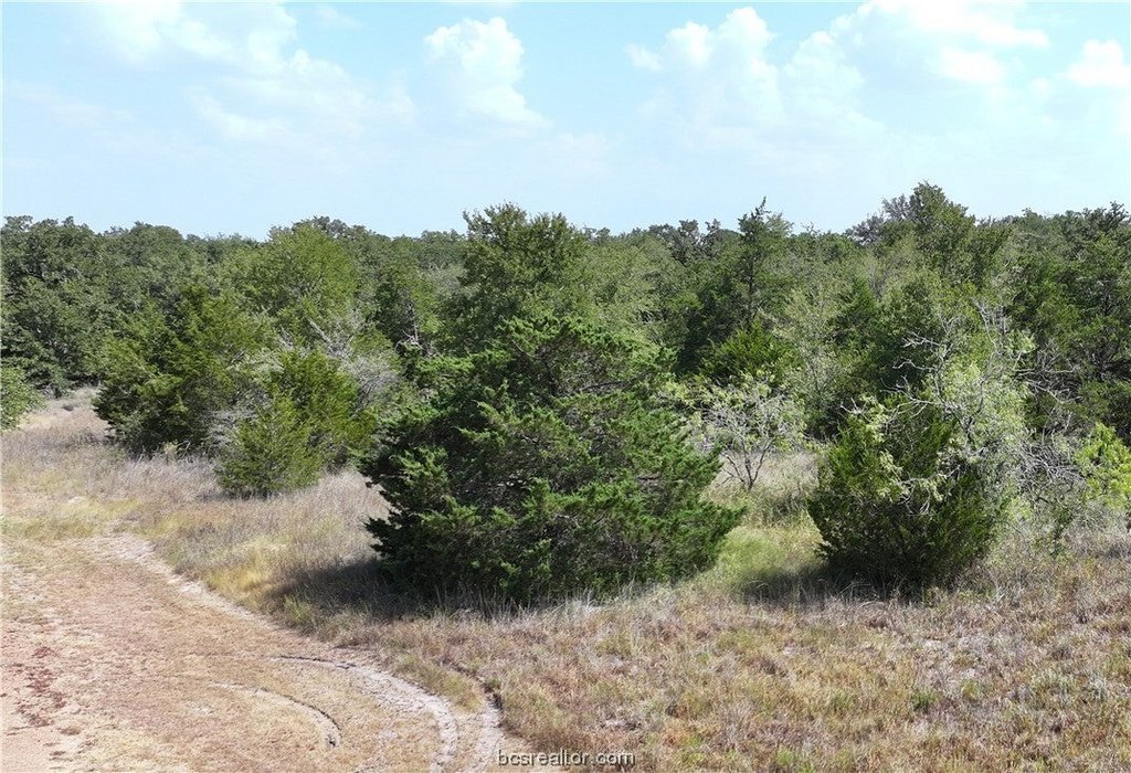 Picture 5
