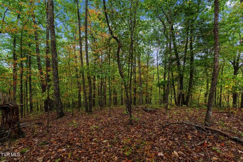 Land, Elizabethton, TN