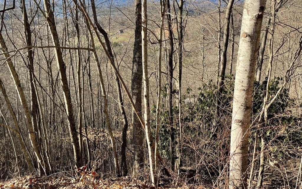 Picture 21