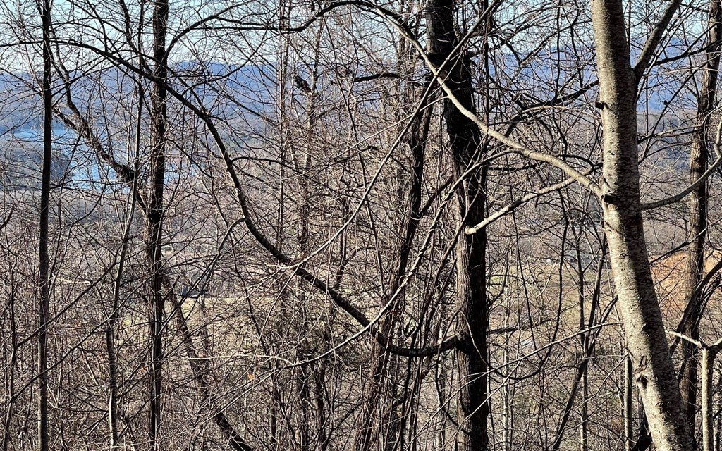 Picture 8