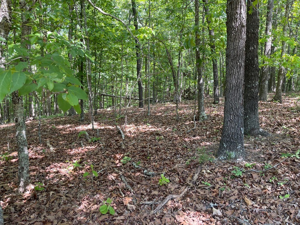 Picture 3