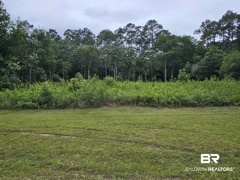 LAND - Irvington, AL