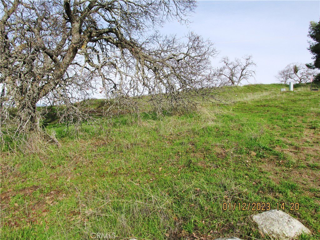 Picture 36