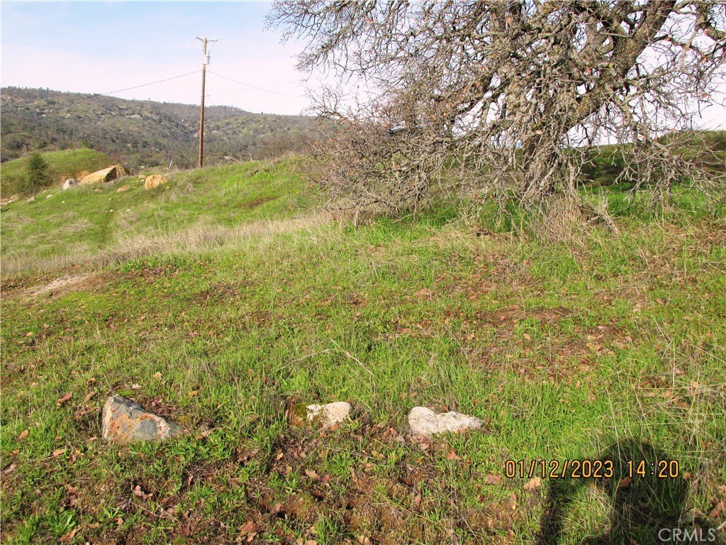 Picture 37