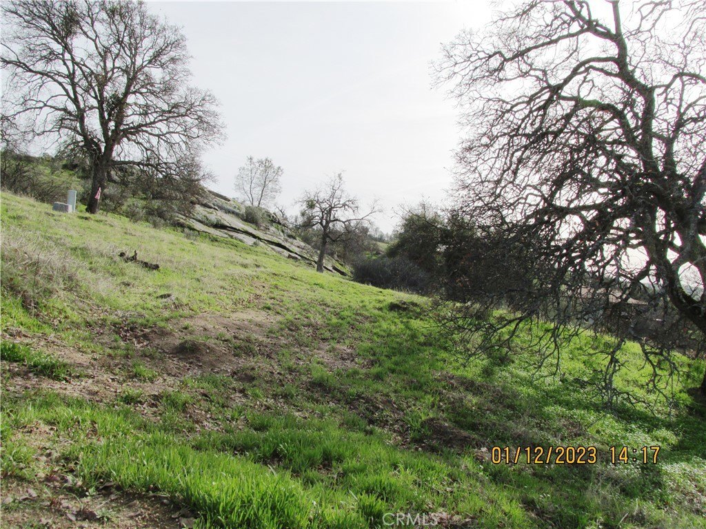 Picture 24