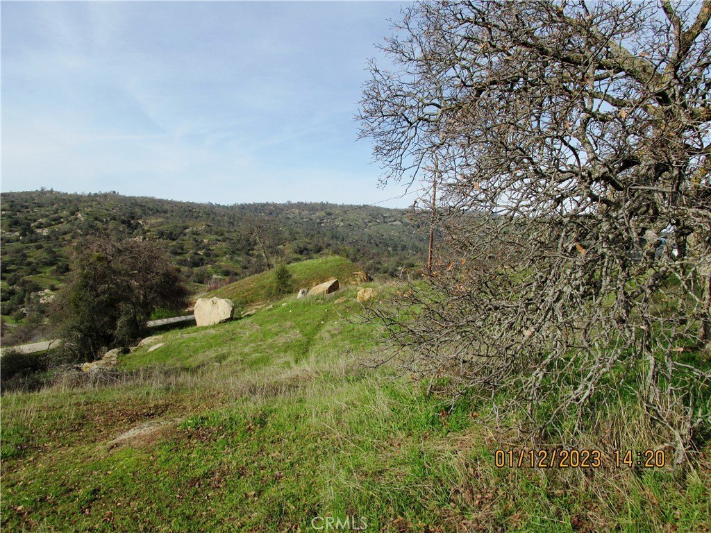 Picture 35