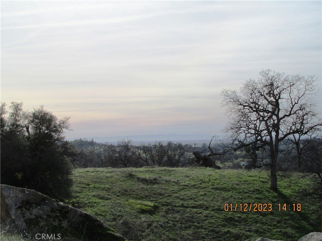 Picture 27