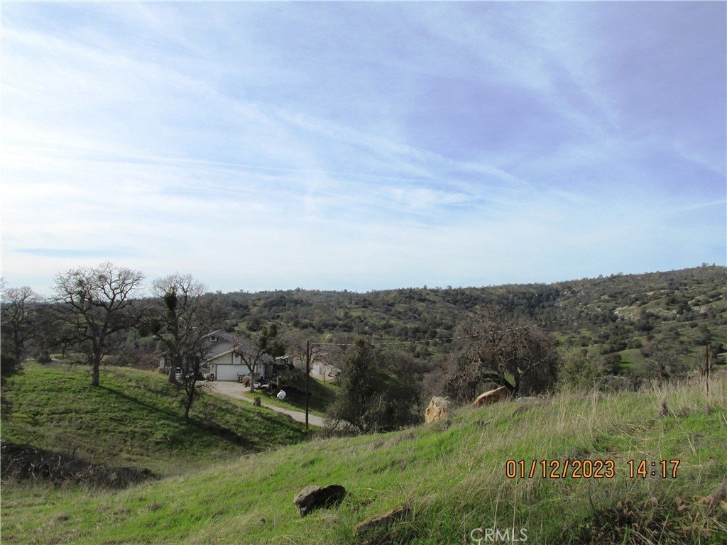 Picture 23