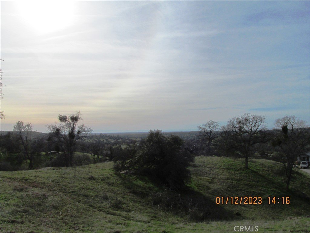 Picture 21