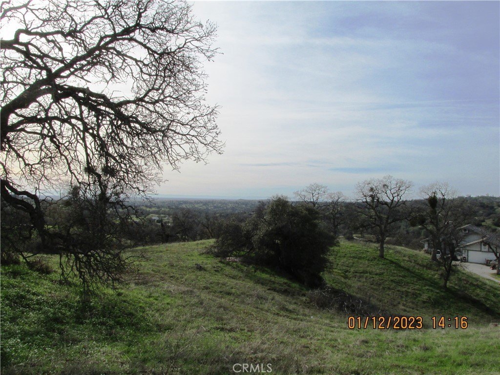 Picture 20