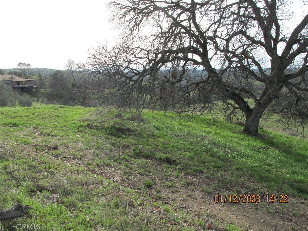 Picture 46