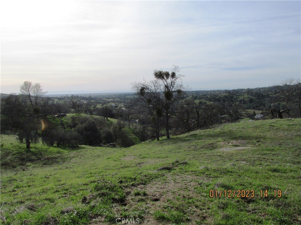 Picture 30