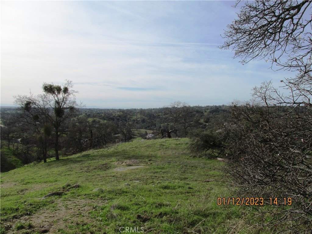Picture 31