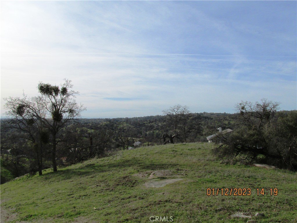 Picture 33
