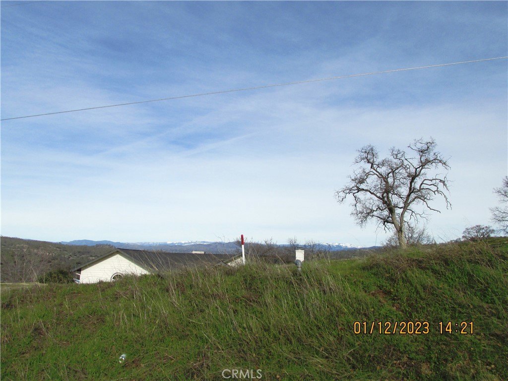 Picture 40