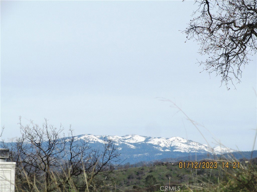 Picture 41