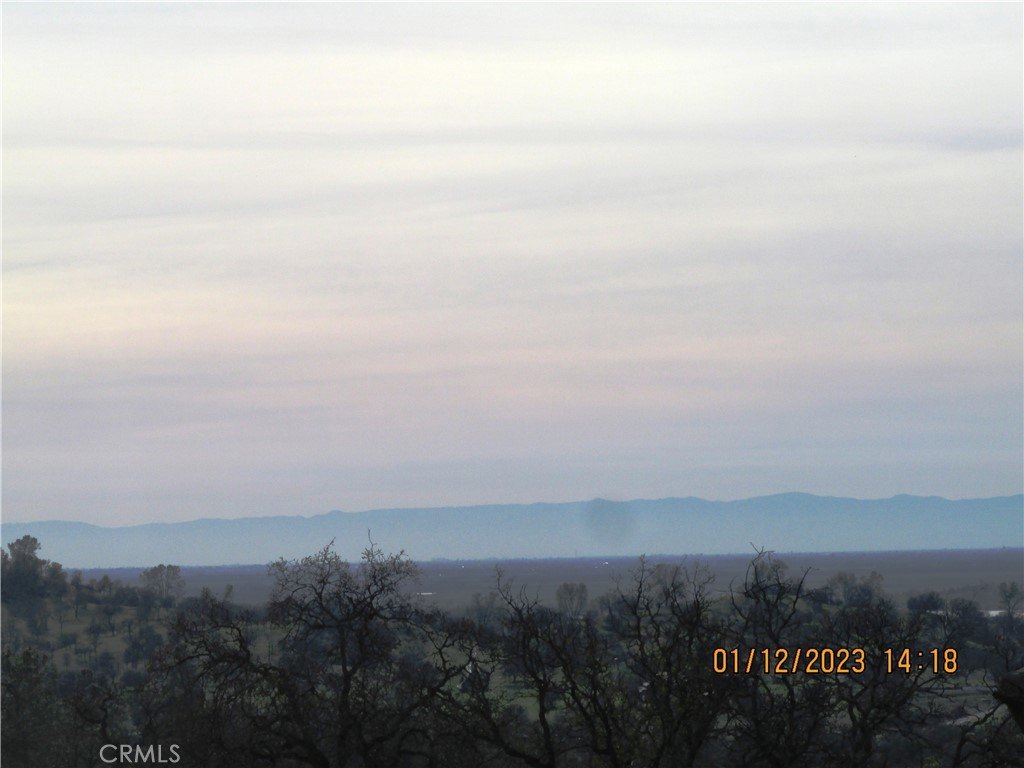Picture 28