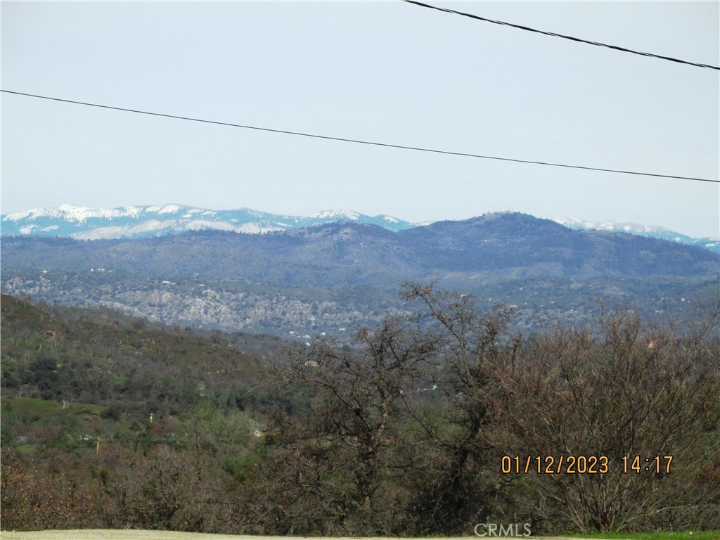 Picture 25