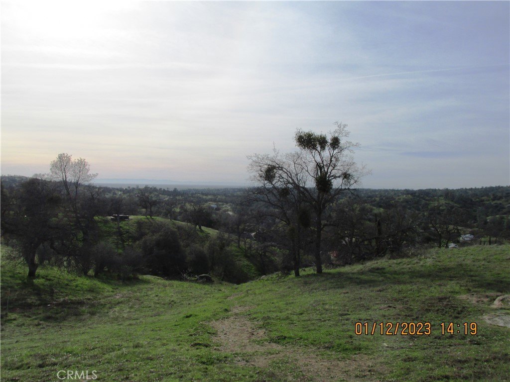 Picture 32