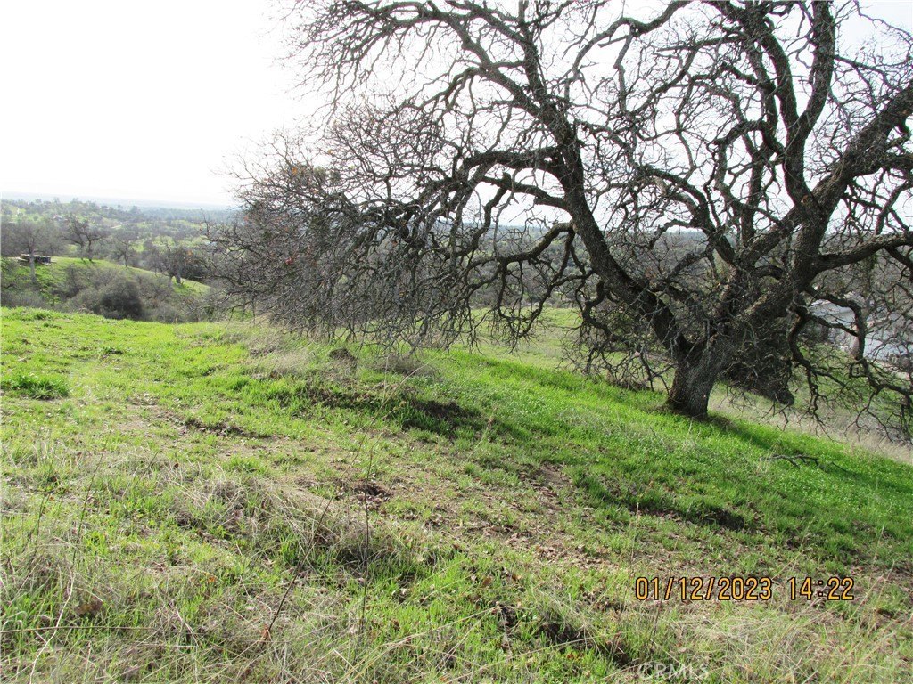 Picture 44