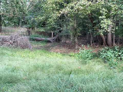 Land, Piedmont, MO