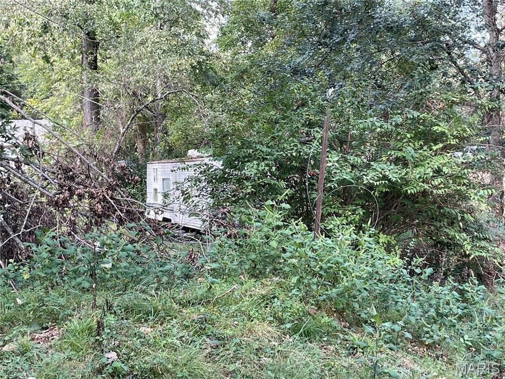 Picture 3