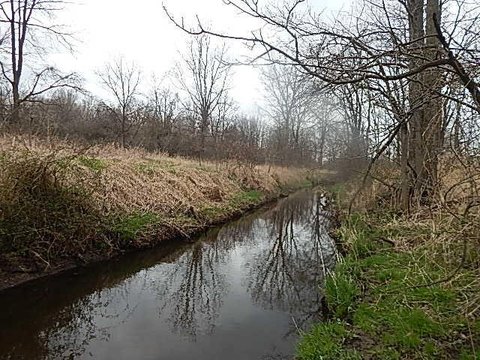 Burlington, MI Multi-Use Land