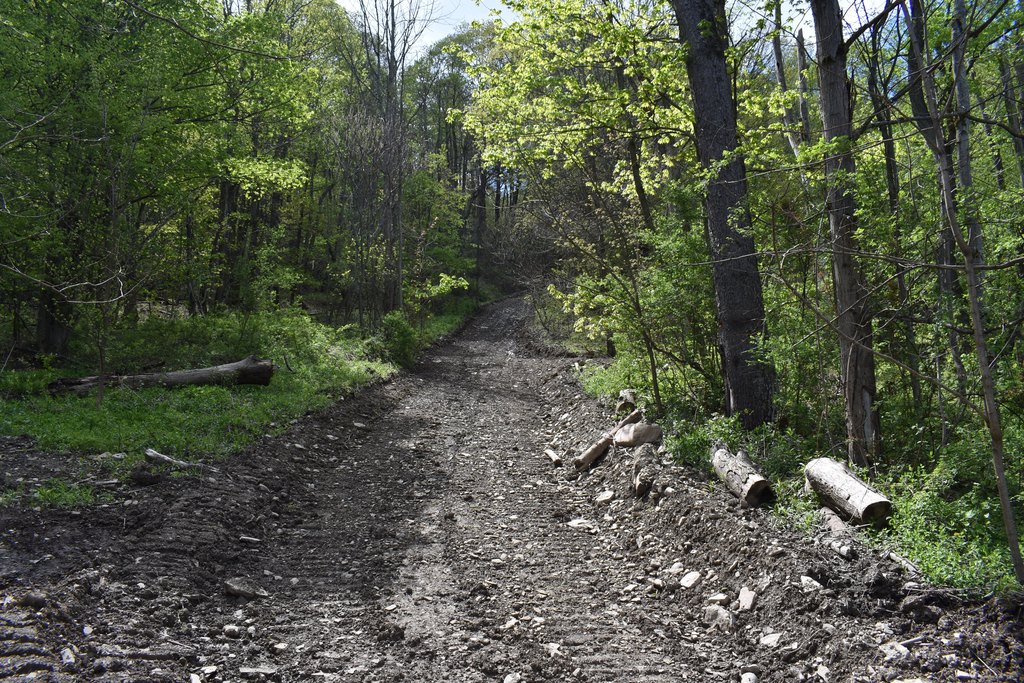 Picture 4