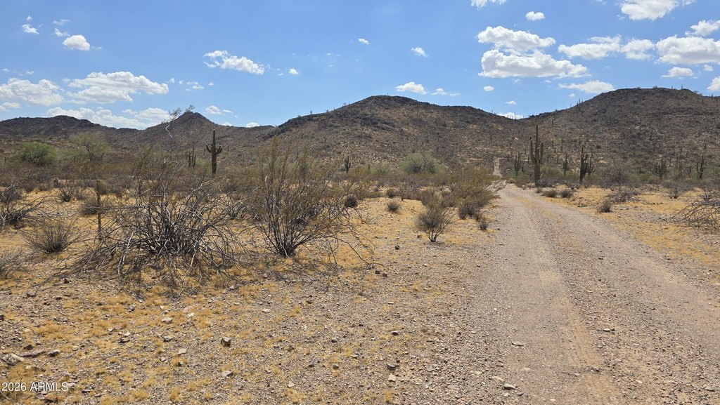 Picture 20