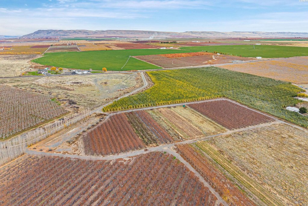 Picture 33