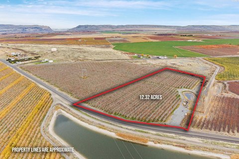 Productive Orchard Land in Desert Aire