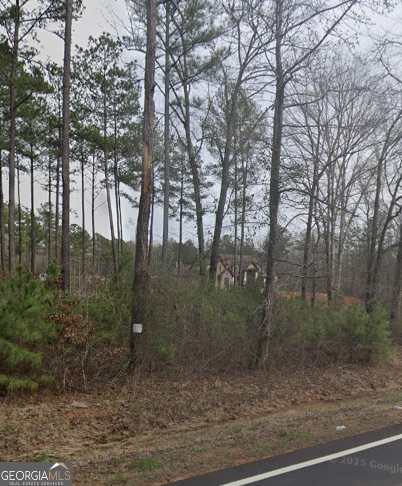 Land in Griffin, Georgia