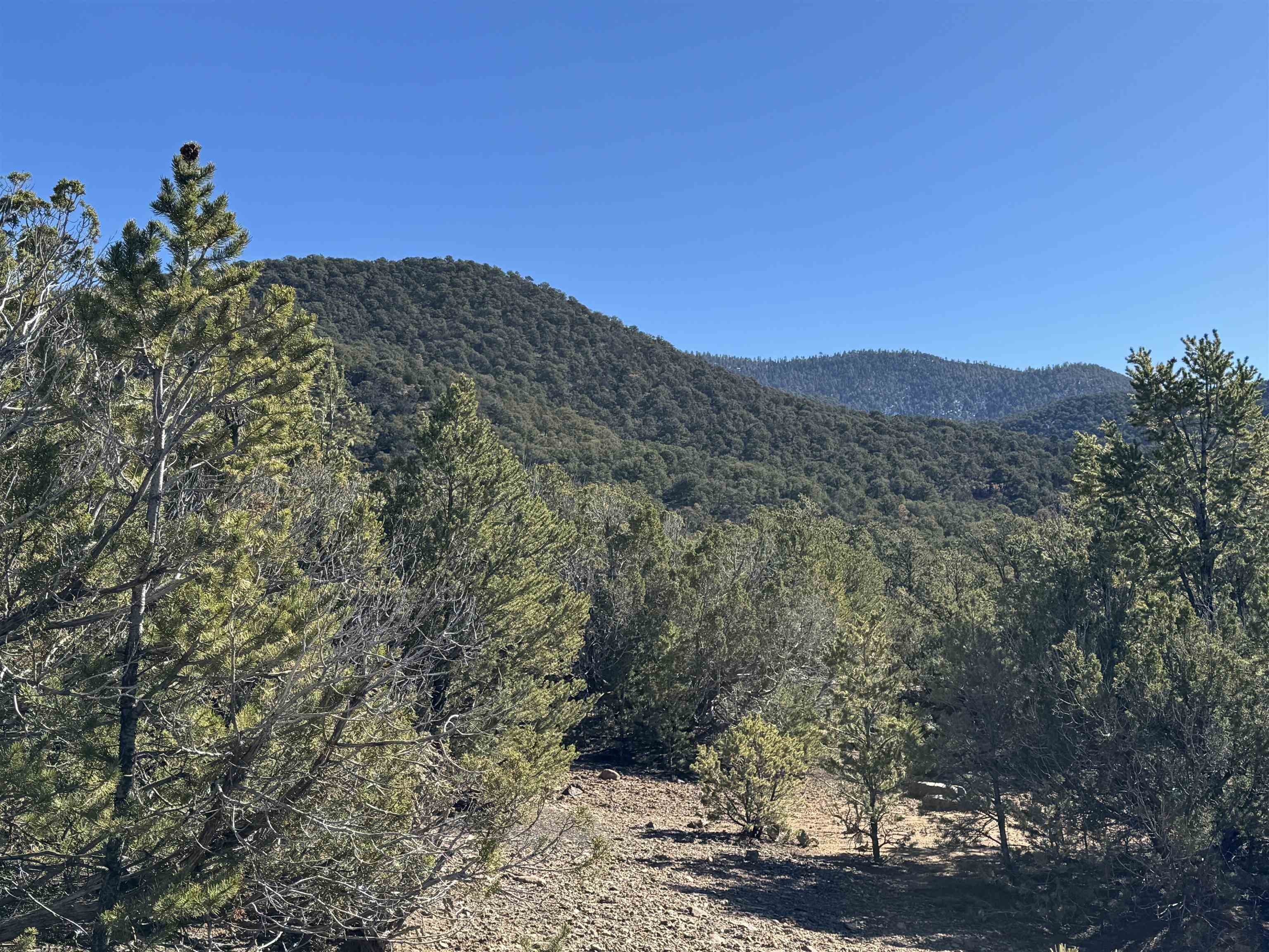 Land with Forest Access, Views