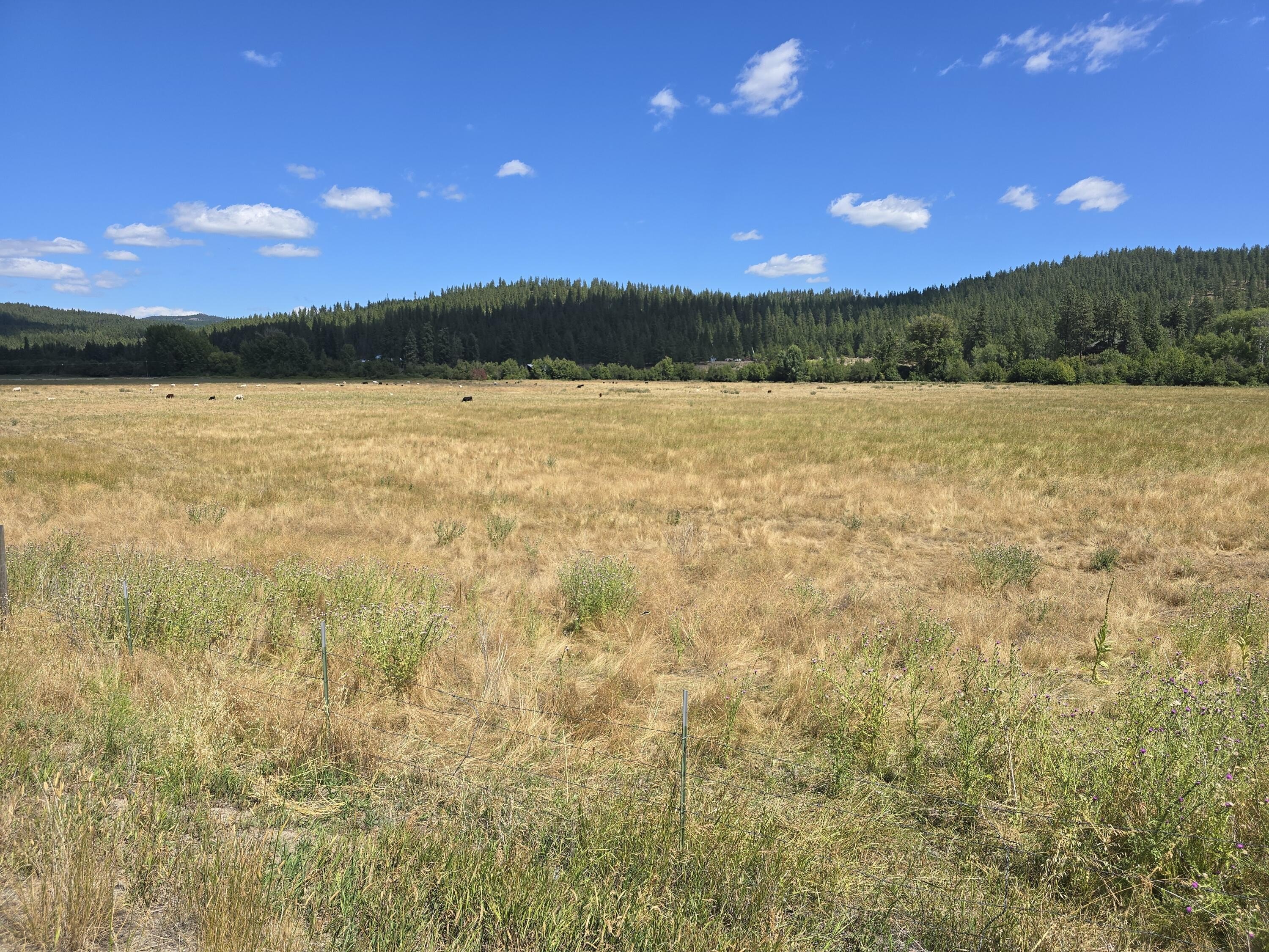 Colville Acreage with Creek