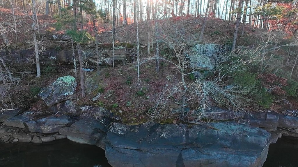 Picture 3