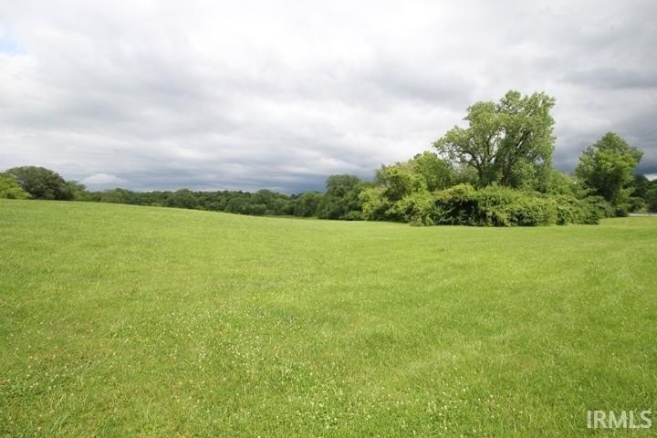 Picture 8