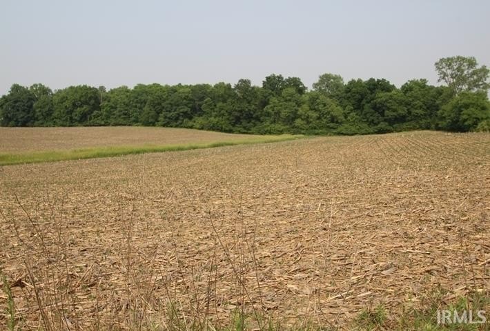 Picture 7