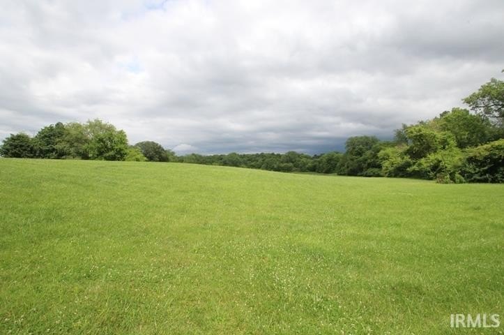 Picture 6