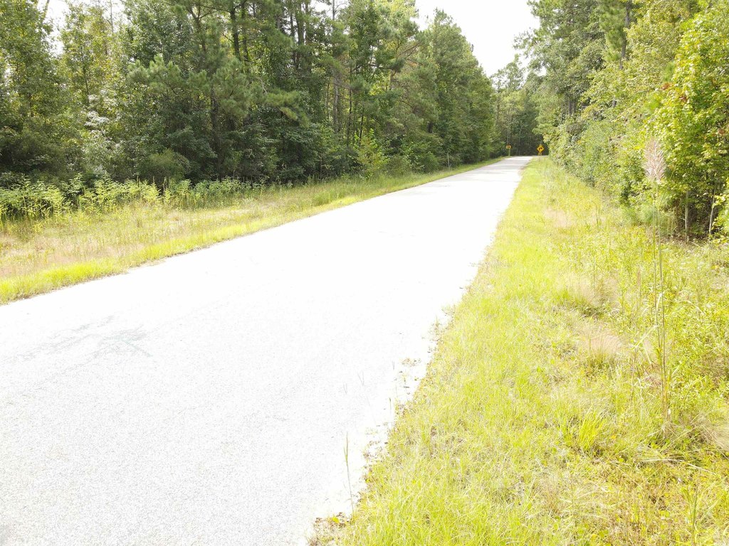 Picture 20