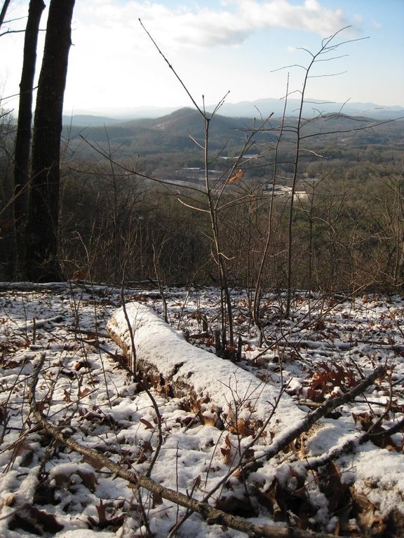 Picture 8