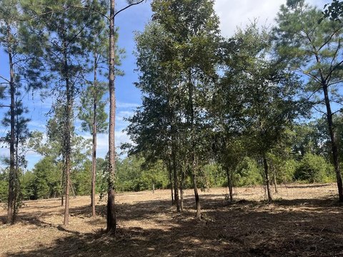 LAND - Thomasville, GA
