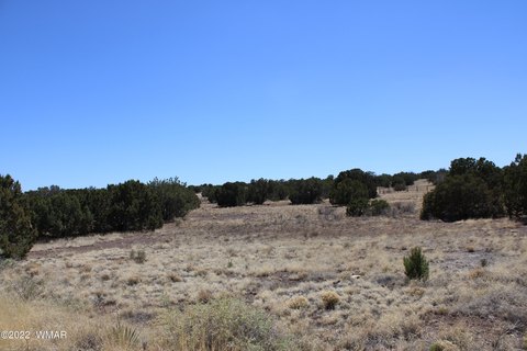 Residential Land in Show Low