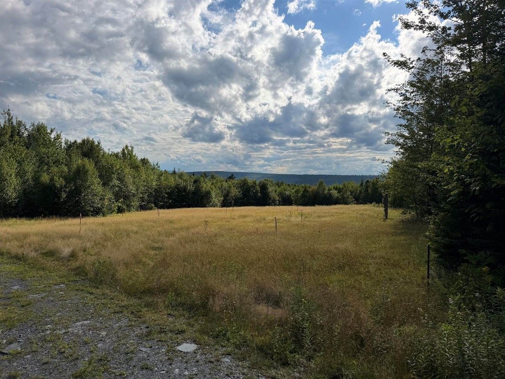 Picture 25