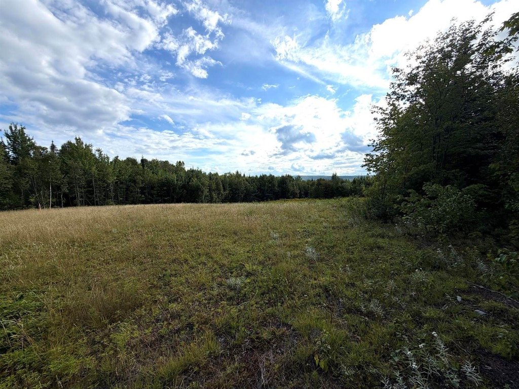 Picture 24